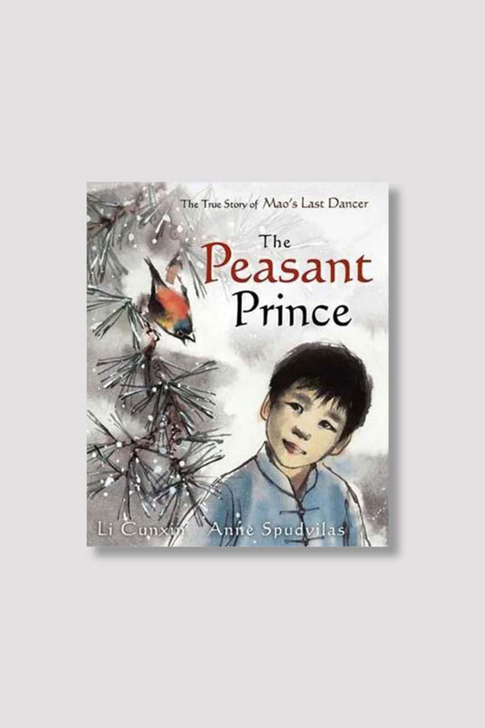 10073 - The Peasant Prince Book