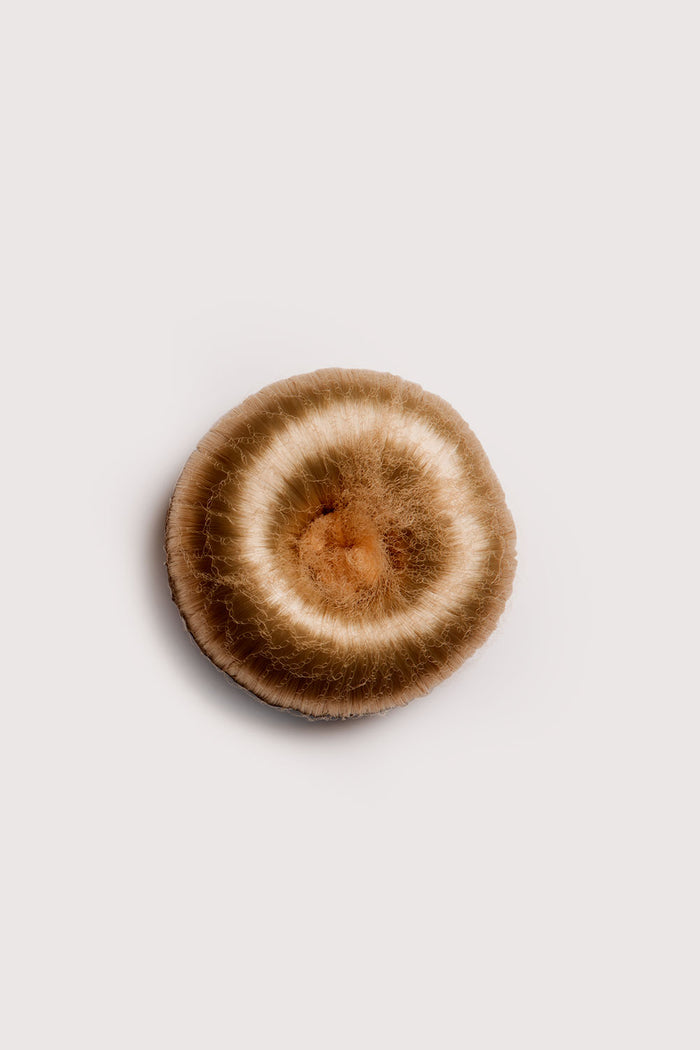30110M - Bloch Medium Hair Donut