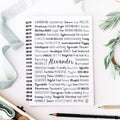 Alexander Spiral Notebook