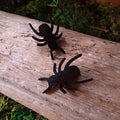 Ants Hair Clip Set