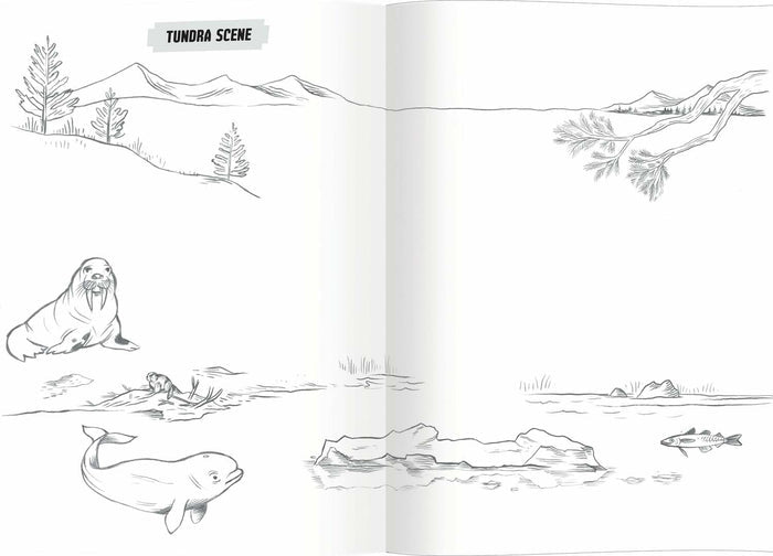 Learn to Draw Wild Animals