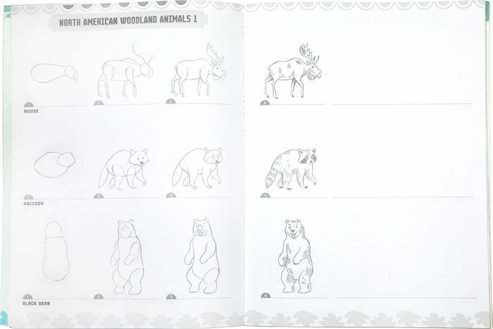 Learn to Draw Wild Animals