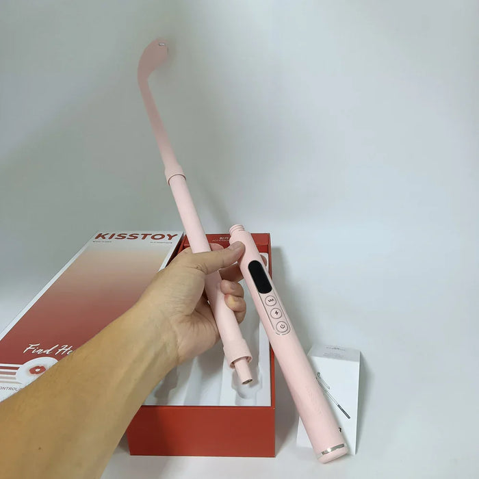 bdsm vibrator