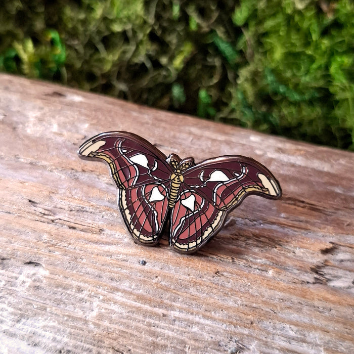 Atlas Moth Enamel Pin