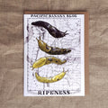Banana Slug Ripeness Chart Greeting Card
