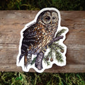 Barred Owl Vinyl Sticker