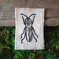 Beetle Canvas Patch