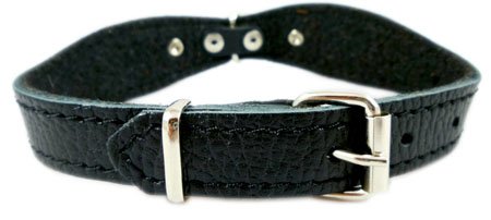 Black Genuine Leather Designer Dog Collar 11"x3/4" with Studs, Daisy, and Rhinestone