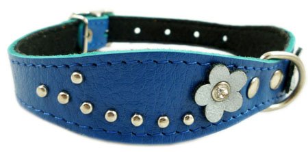 Blue Genuine leather Designer Dog Collar 11"x3/4" with Studs, Daisy, and Rhinestone