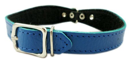Blue Genuine leather Designer Dog Collar 11"x3/4" with Studs, Daisy, and Rhinestone