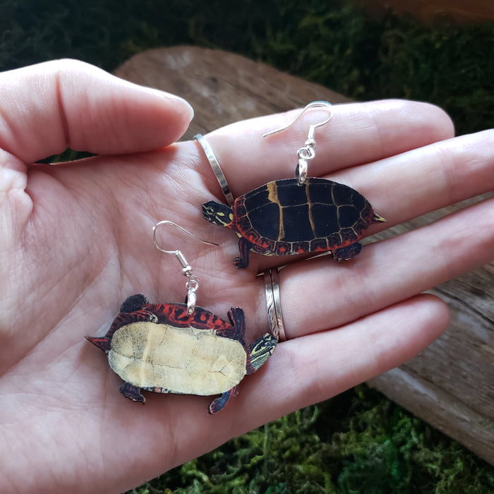 Box Turtle Wooden Earrings