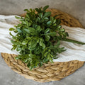 Boxwood Bush 9.5"