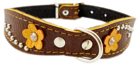 Brown Genuine leather Designer Dog Collar 11"x3/4" with Studs, Daisy, and Rhinestone
