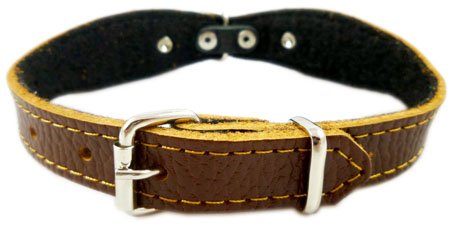 Brown Genuine leather Designer Dog Collar 11"x3/4" with Studs, Daisy, and Rhinestone