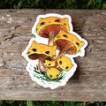 Chanterelle Meowshrooms Vinyl Sticker