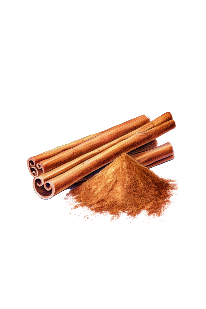 Rustic Strength - botanical watercolor image of cinnamon sticks next to a mound of cinnamon powder, representing Cinnamon scent