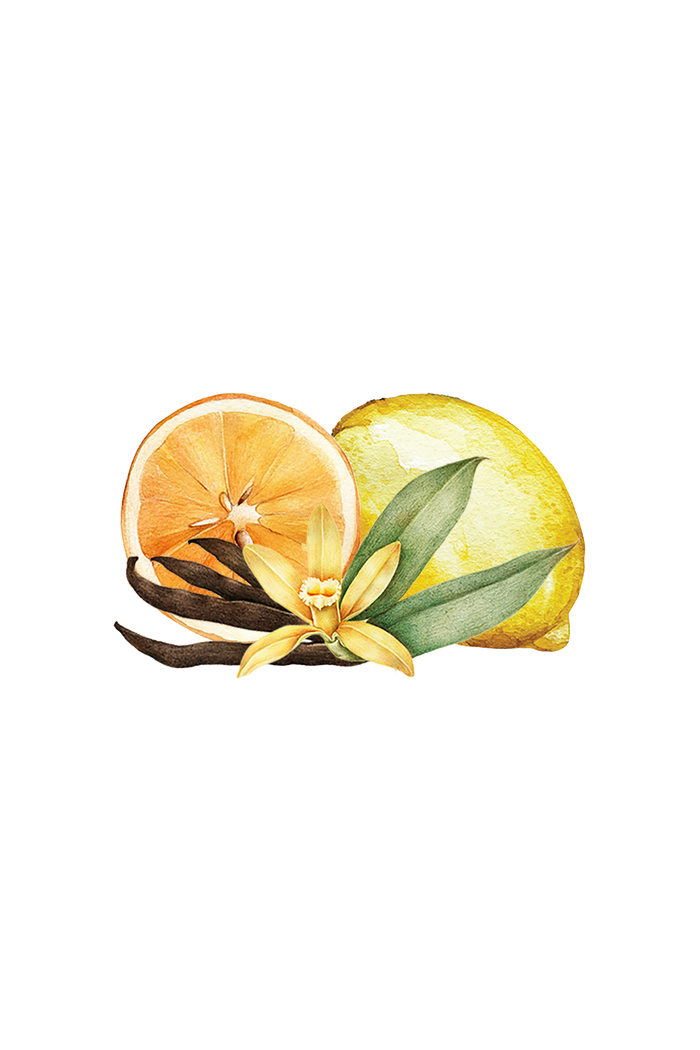 Rustic Strength - botanical image of sliced orange and a lemon with vanilla beans and flower representing Citrus Vanilla scent