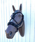 complete Bitless bridle side pull hackamore in baroque style with Indian agate gemstones - Tiffanys Braided Tack LLC