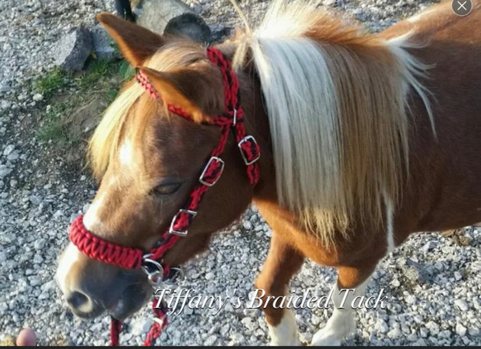 complete bitless bridle side pull red and black with flat reins …pony, Cob, Horse or Draft horse size (you pick your size) - Tiffanys Braided Tack LLC