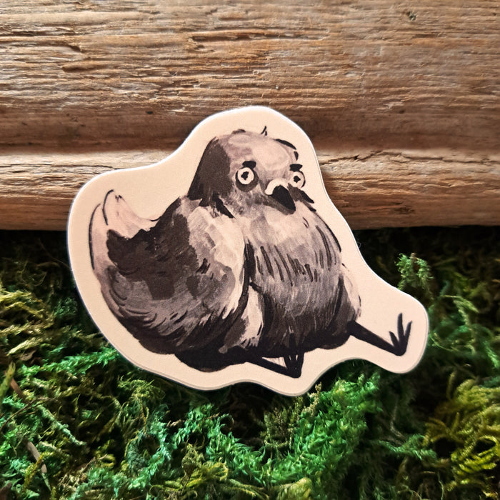 Depressed Pigeon Vinyl Sticker
