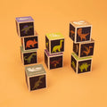 Dinosaur 9 Block Set