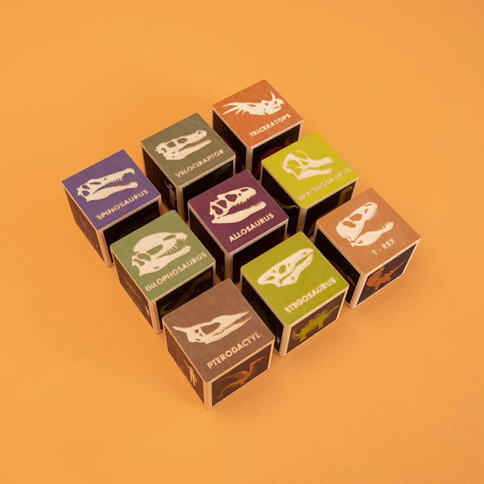Dinosaur 9 Block Set