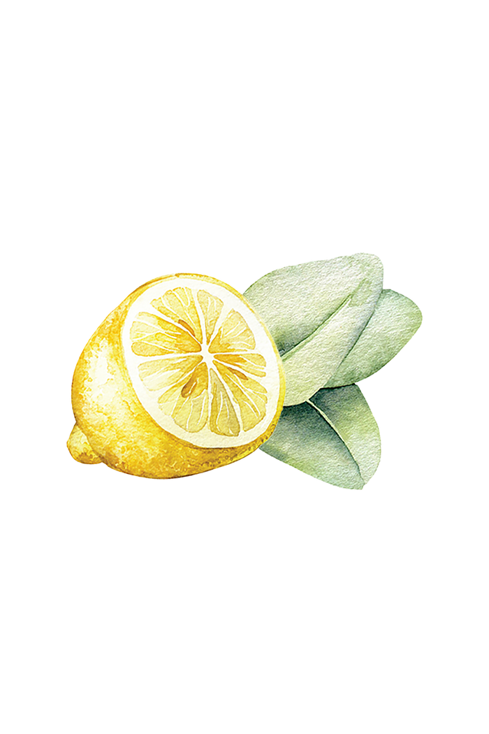 Rustic Strength, botanical image of a Lemon sliced, and Eucalyptus leaves