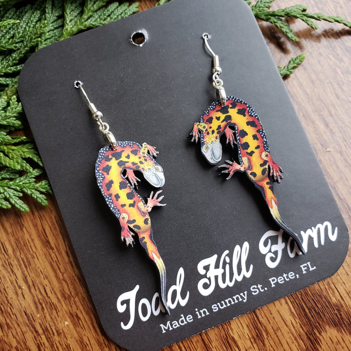 Firebelly Newt Wooden Earrings