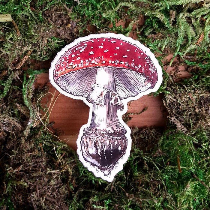 Fly Agaric Mushroom Vinyl Sticker