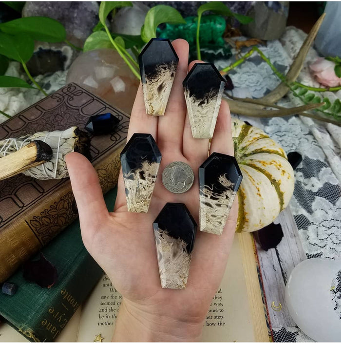 Fossil Palm Root Coffins, large