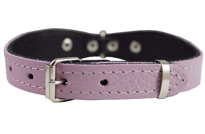Genuine leather Designer Dog Collar 11"x3/4" with Studs, Daisy, and Rhinestone