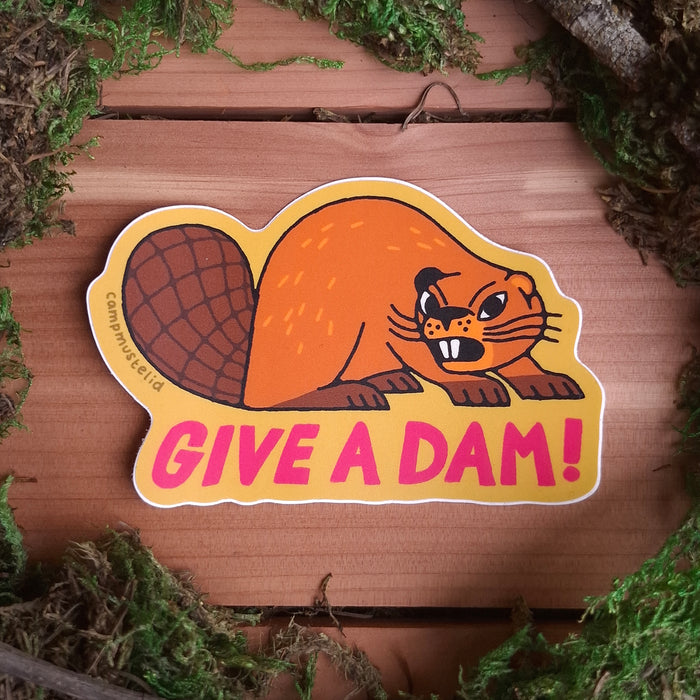 "Give a Dam!" Vinyl Sticker