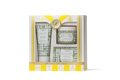 Beekman 1802 gift set with two products in a decorative box on a white background
