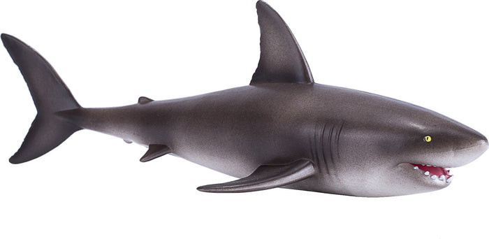 Great White Shark
