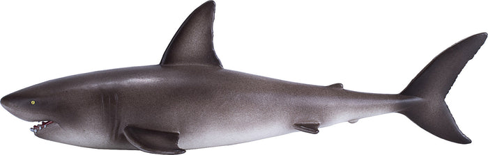 Great White Shark