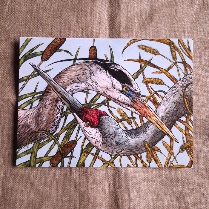 Heron & Crane Greeting Card