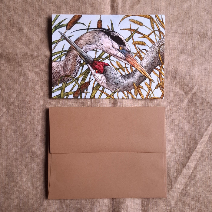 Heron & Crane Greeting Card