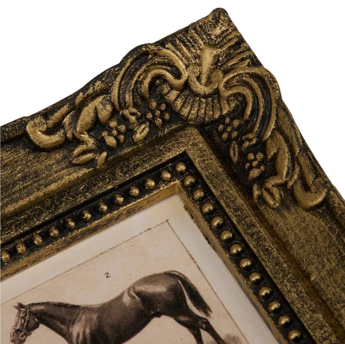 Horse Breeds Framed Wall Art 6.5 x 8.5