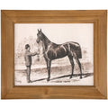 Horse Sketch Framed Wall Art 12 x 10