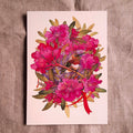 Hummingbird Greeting Card