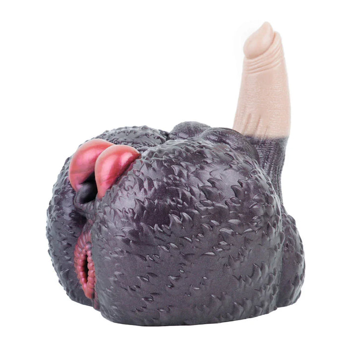 sex toy for gay