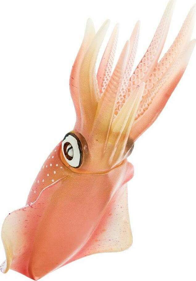 Reef Squid Toy