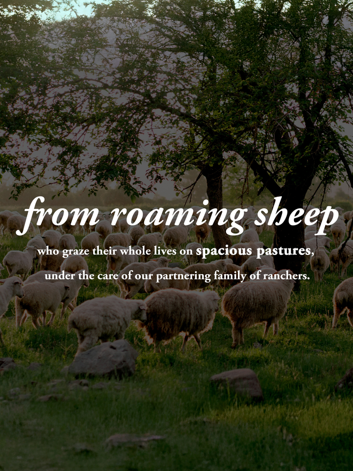 A flock of sheep grazing beneath trees, with the caption: from roaming sheep who graze their whole lives on spacious pastures, under the care of our partnering family of ranchers.