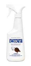 Kirby 254612S 12oz Spot Remover