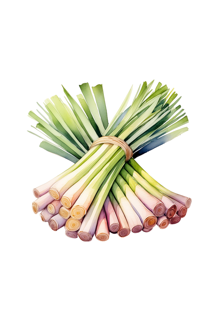 Rustic Strength - botanical image of two bunches of lemongrass stalks representing Lemongrass scent