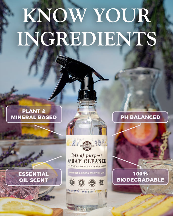 Bottle of all-purpose spray cleaner with labeled benefits on a blurred natural background