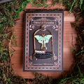 Luna Moth Curio Jar Enamel Pin