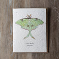 "Luna Moth" Plantable Greeting Card