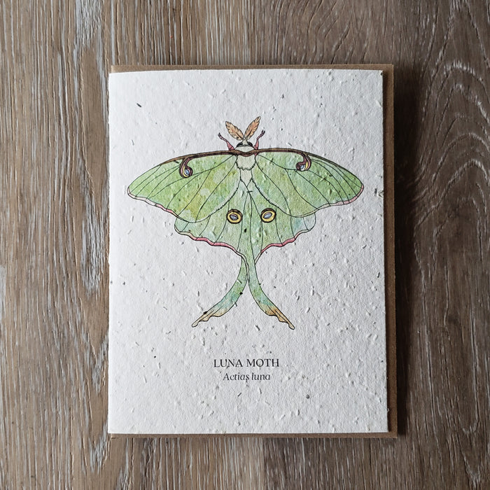 "Luna Moth" Plantable Greeting Card