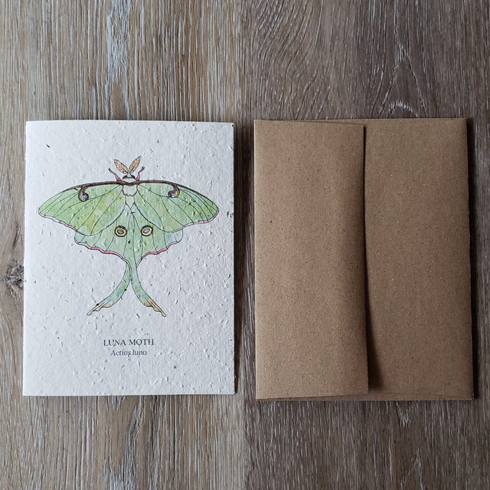 "Luna Moth" Plantable Greeting Card